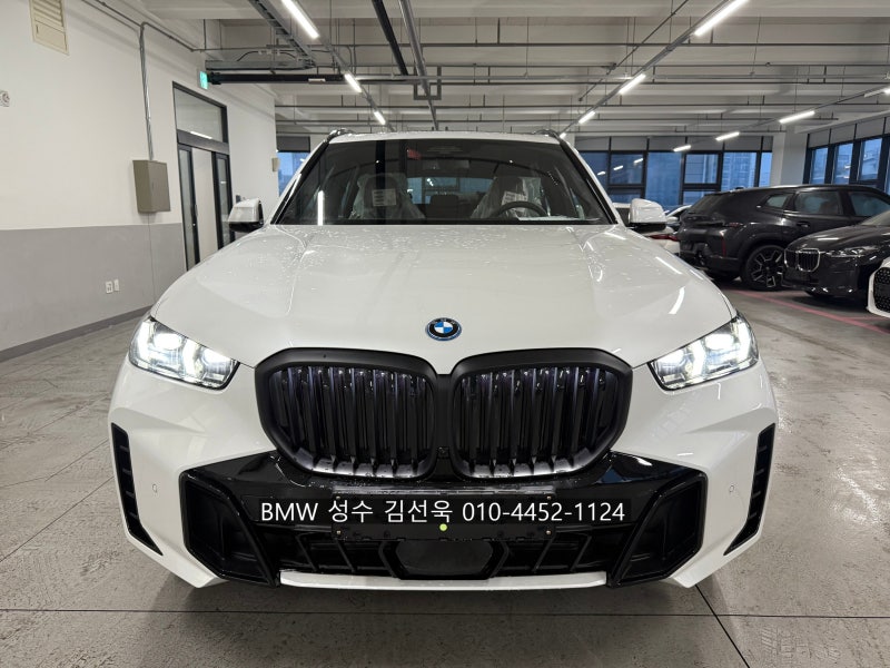 BMW 하이브리드 준대형 세단, X5 xDrive 50e MSP Pro 출고후기 및 2월 BMW 프로모션 월납 지원, BMW 도....