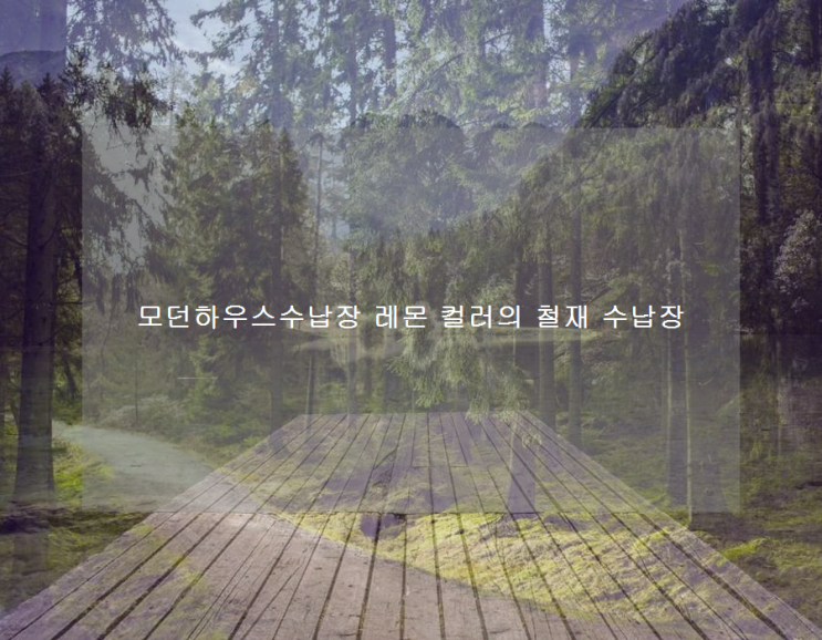  모던하우스수납장 레몬 컬러의 철재 수납장
