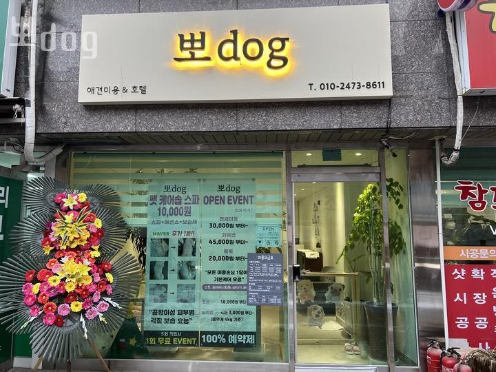 사진 5