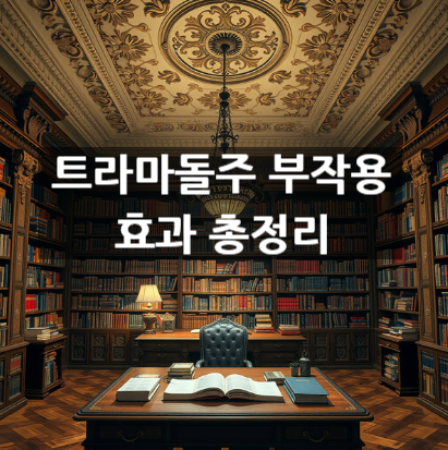  트라마돌주 부작용 효과 총정리