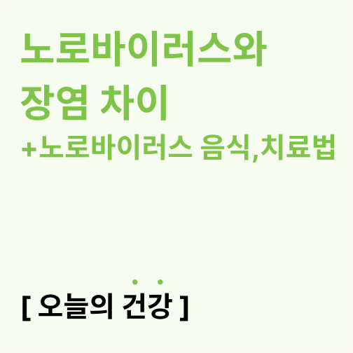  노로바이러스와 장염 차이 (노로바이러스 음식, 치료법)