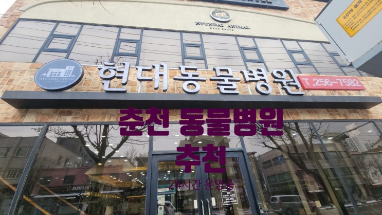  춘천시에서 24시간 운영하는 동물병원을 찾고 계신가요?