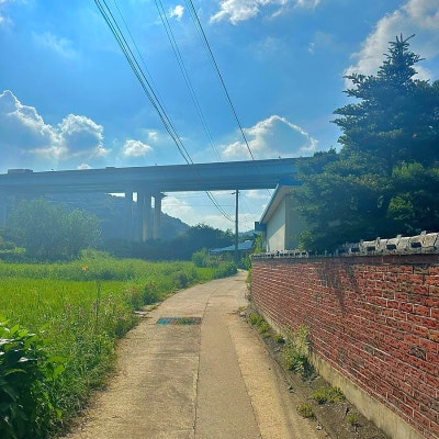 사진 5