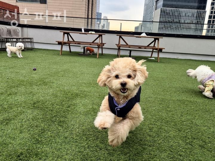 사진 5