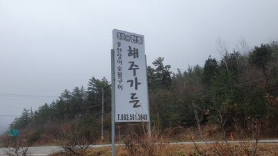 사진 4