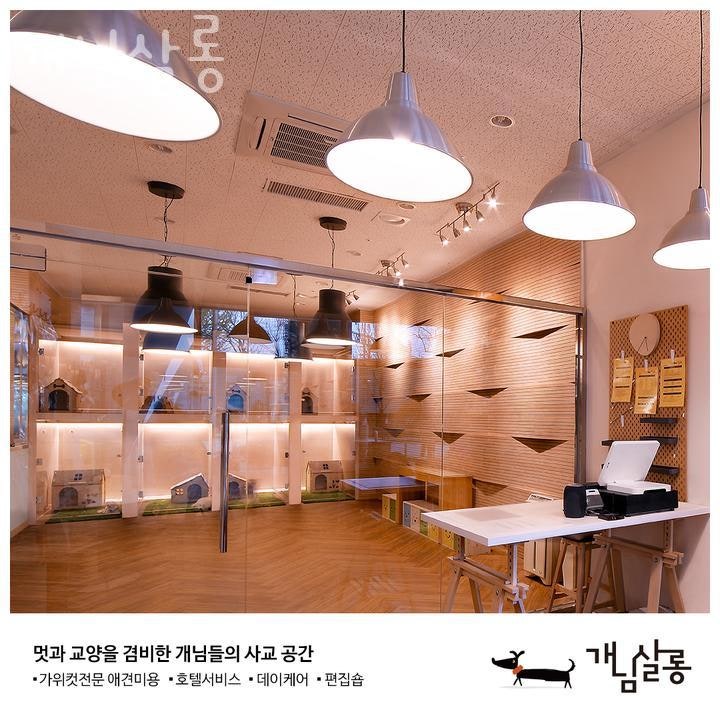 사진 4