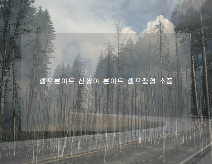  셀프본아트 신생아 본아트 셀프촬영 소품