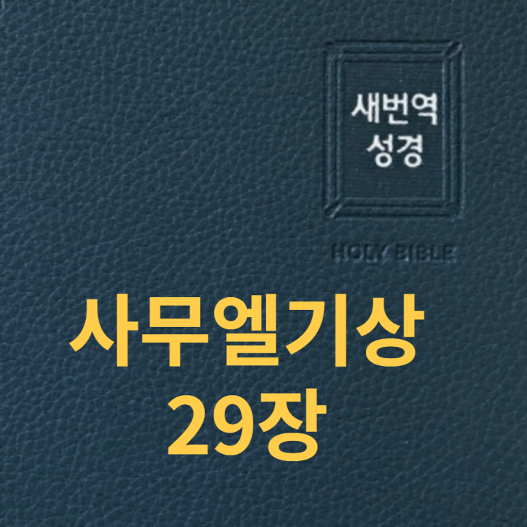 사무엘기상 29장 사무엘기상 29장