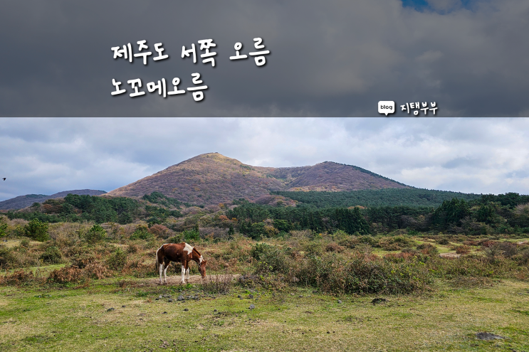  제주도오름 노꼬메오름 누가 올라가기 쉽다고 했냐 생각보다 힘든 오름