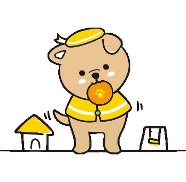 체크인독 애견유치원