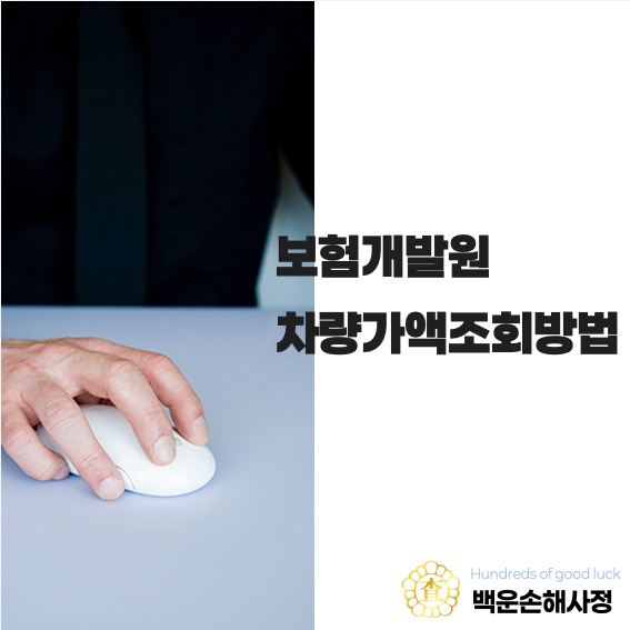  보험개발원 차량 가액 조회 방법