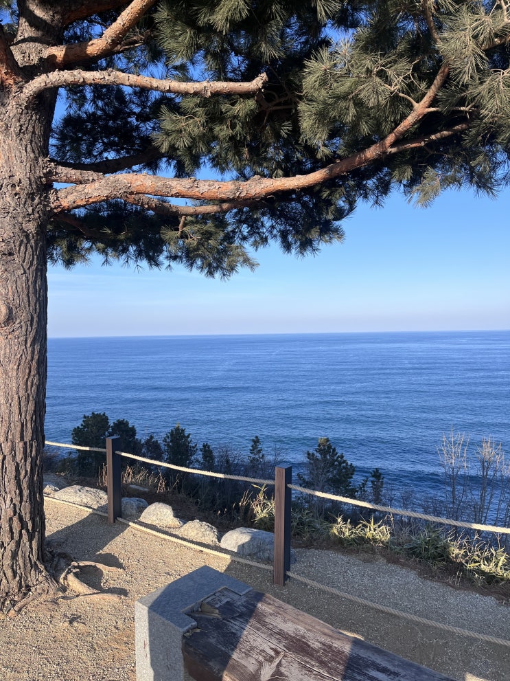  몸을 따뜻하게 하는 음식 먹으면 도움될까요?