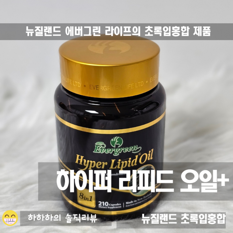  뉴질랜드에서 온 에버그린 초록잎홍합과 콘드로이친 msm