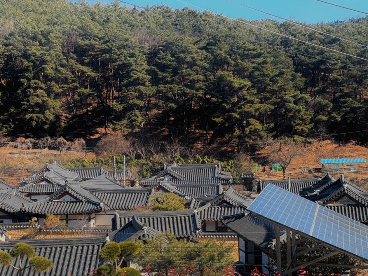  대구 당일치기 여행코스 추천 달성군 육신사 한옥마을