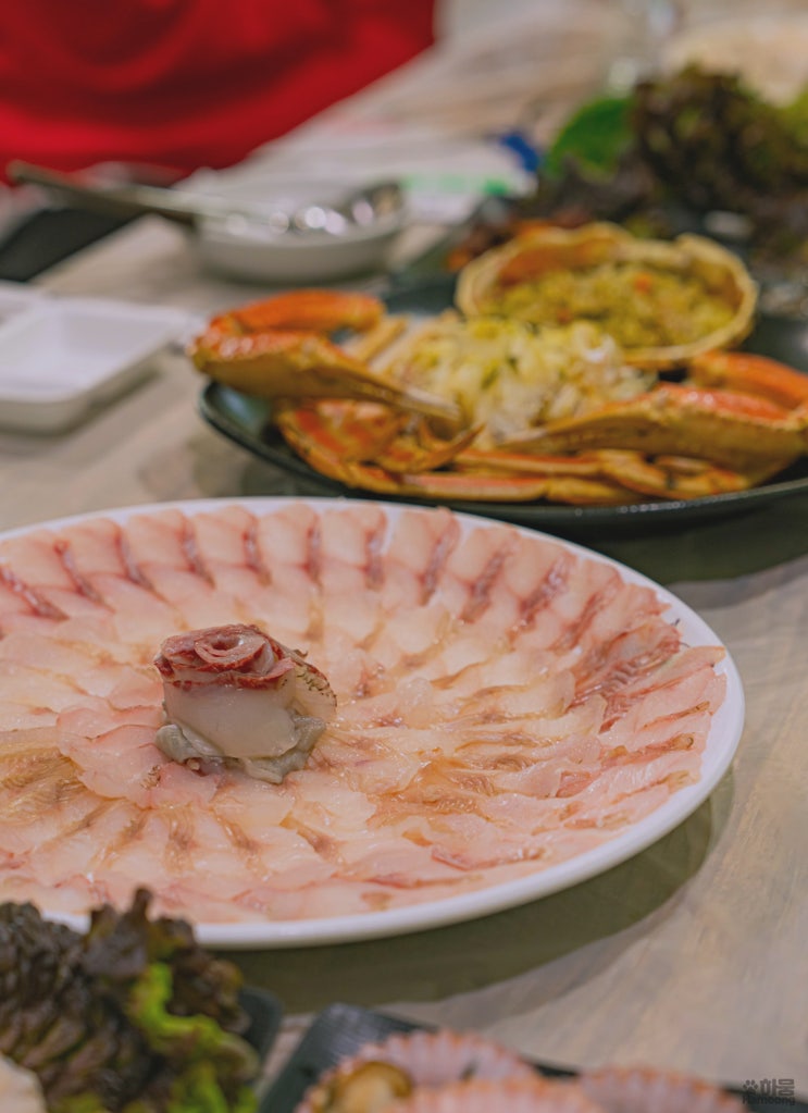  속초 아바이마을 맛집 추천 현지인 가성비 횟집 청초호 활어회센터 나룻배