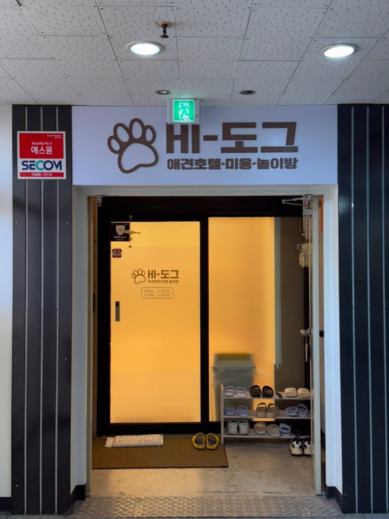 하이도그 — 창원시