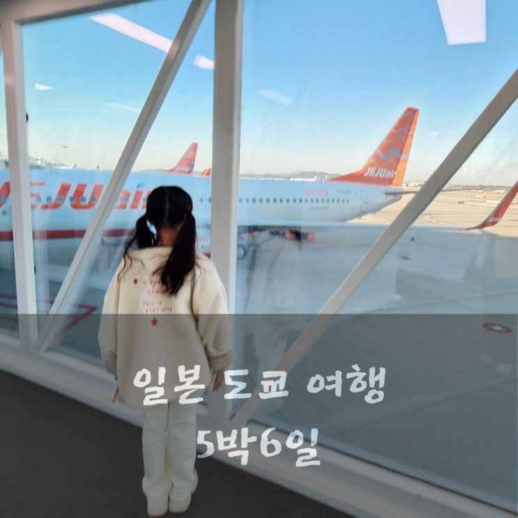  일본 도쿄 여행 5박 6일 일정 및 경비