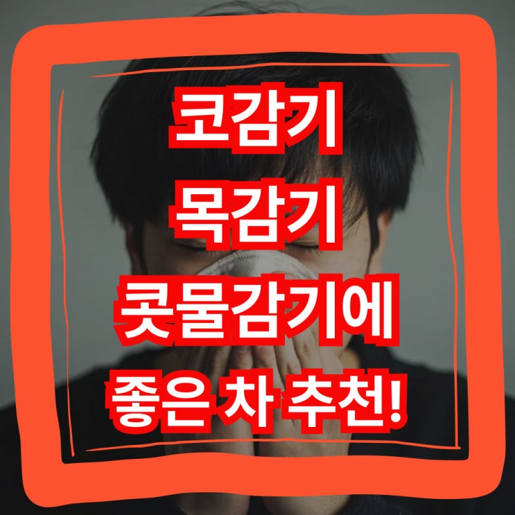  코감기에 좋은 차 목감기 콧물 추천!