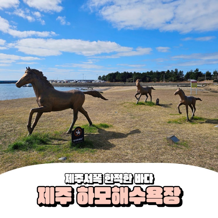  국내 제주 바다 여행지 조용한 하모해수욕장