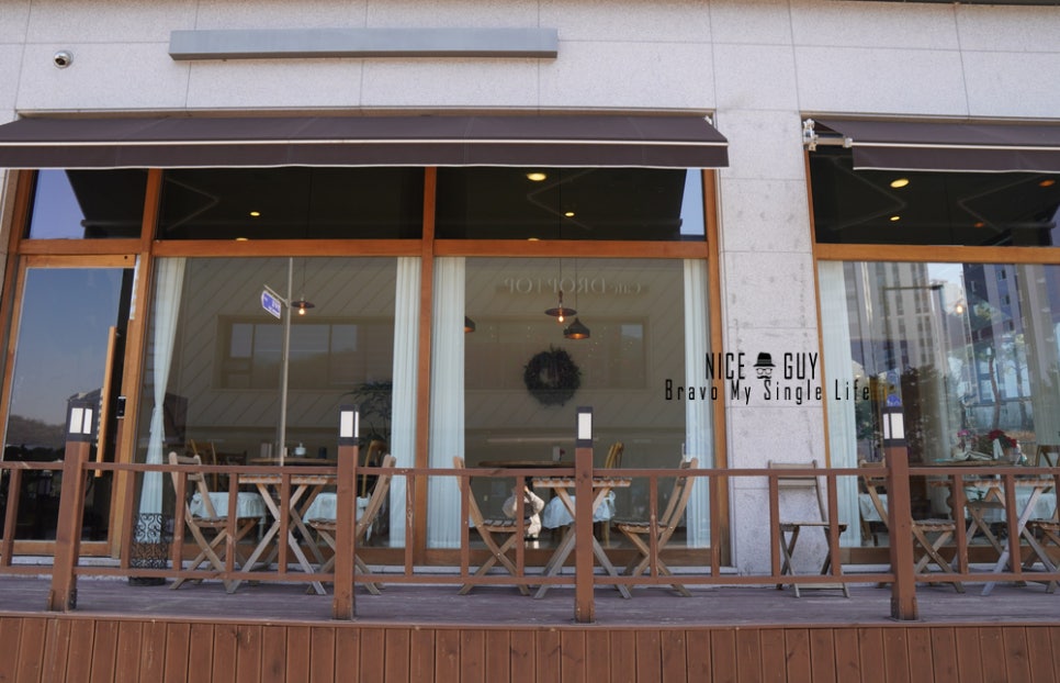 엠그로브 사진 2