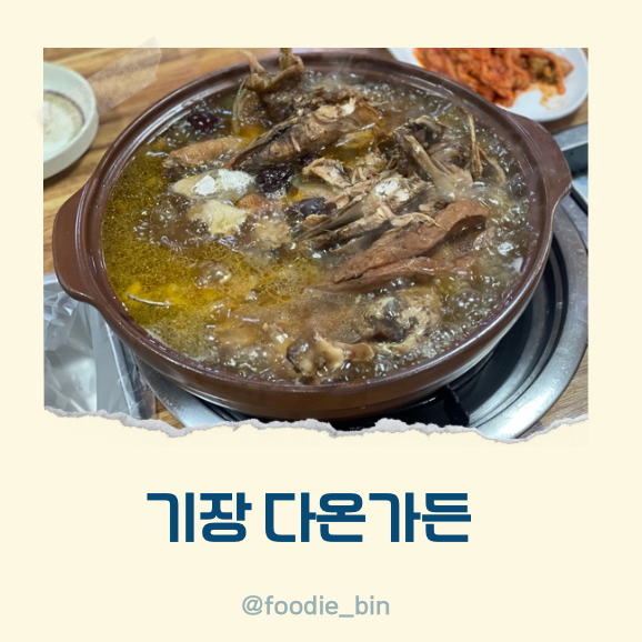 기장 철마 맛집 다온가든 백숙 가마솥 일주일 끓여 진국이야 기장 철마 맛집 다온가든 백숙 가마솥 일주일 끓여 진국이야