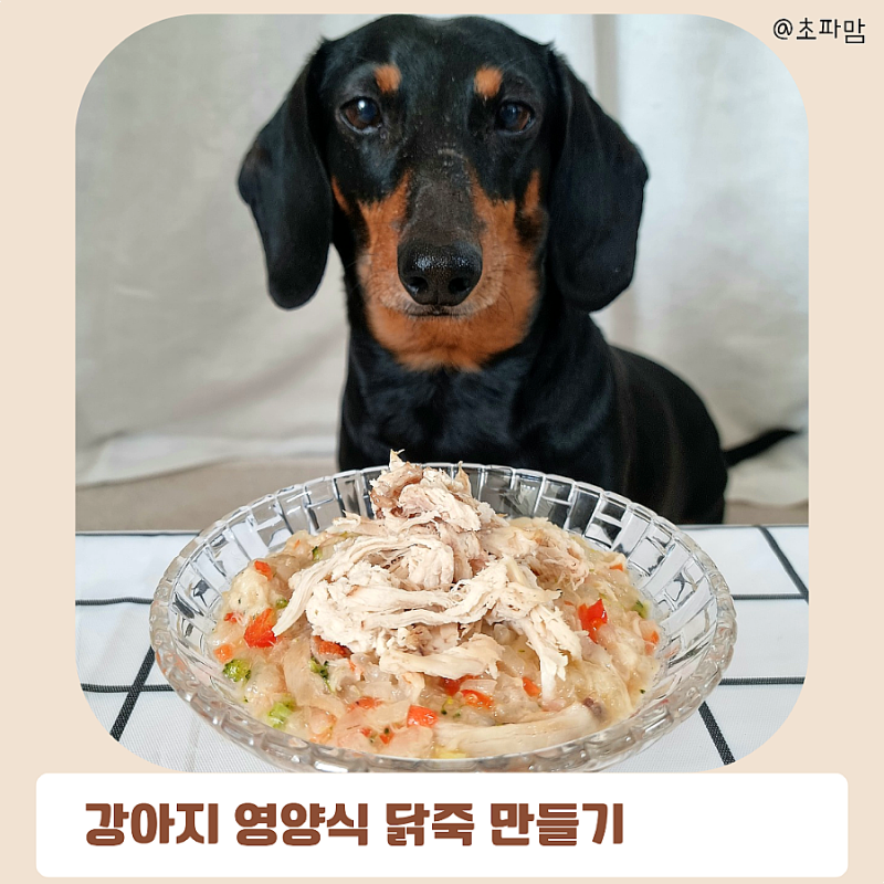 강아지 영양식 만들기 닭죽 삼계죽 레시피