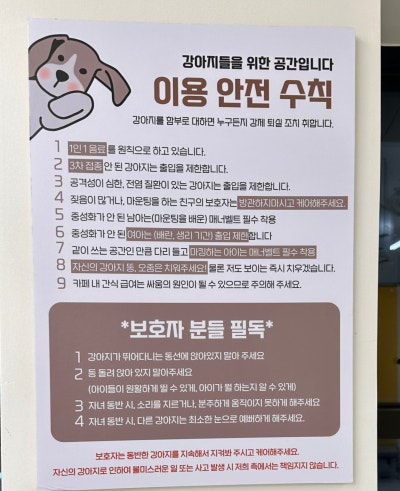 사진 2