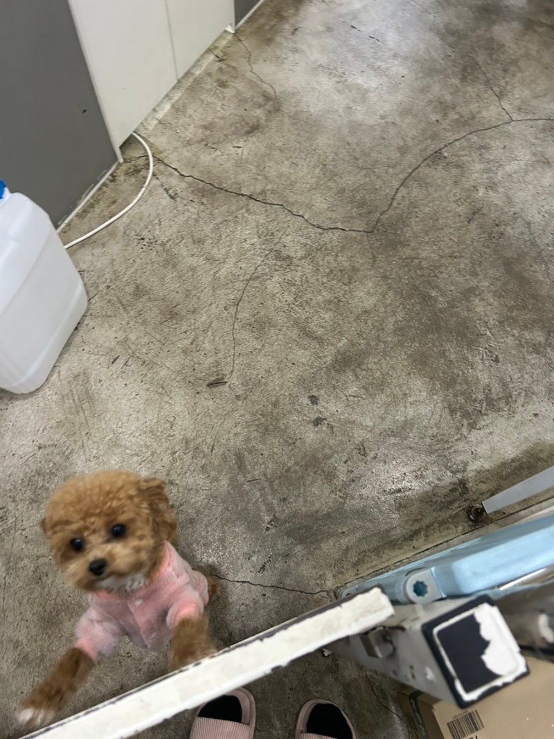 사진 5