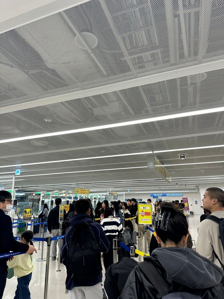  터키 여행+모발 이식 후기, 암흑기 상황
