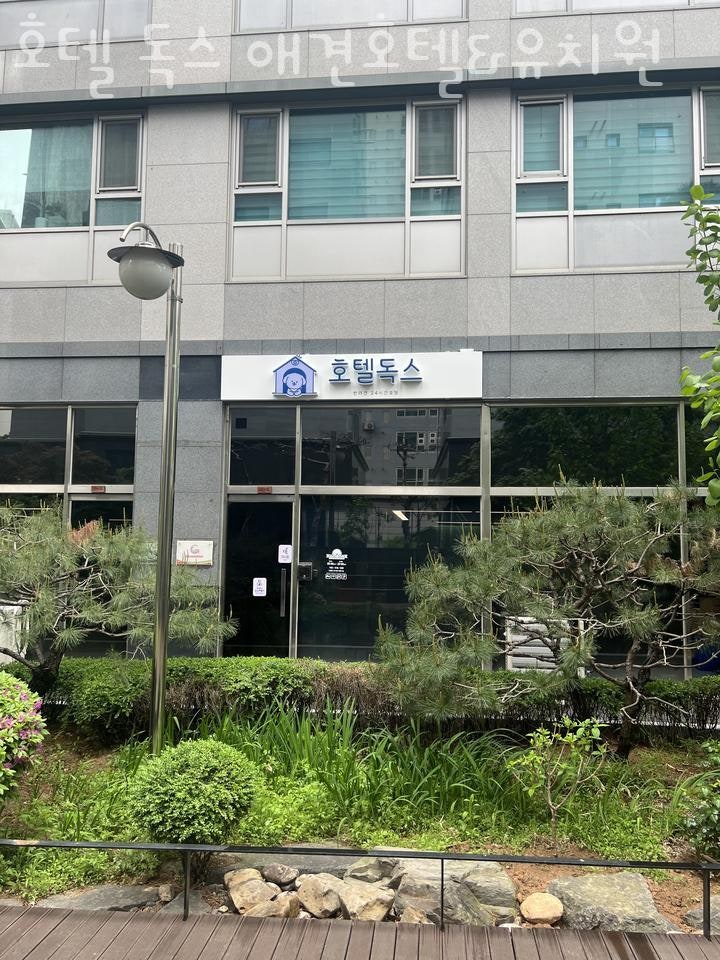 사진 3