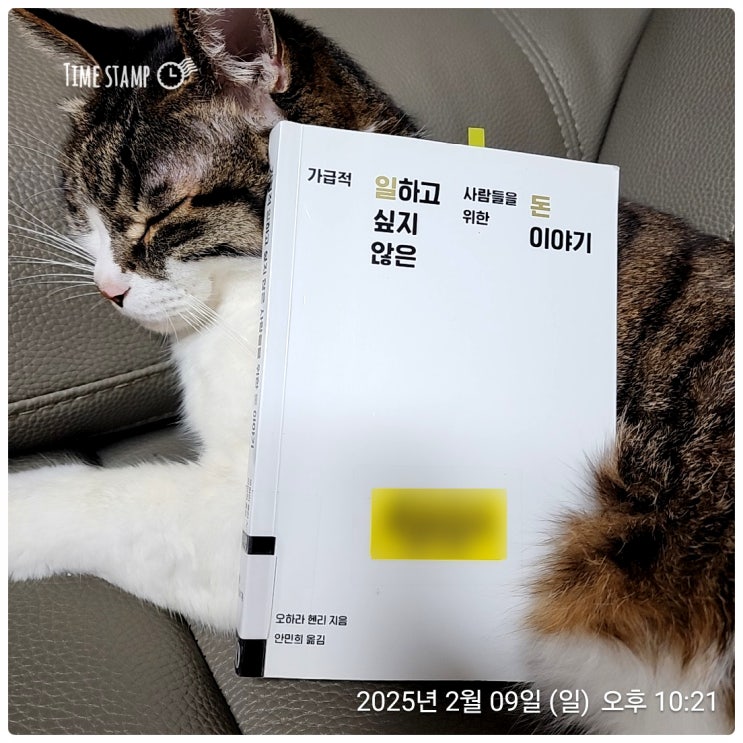  [BOOK] 가급적 일하고 싶지 않은 사람들을 위한 돈 이야기_오하라 헨리