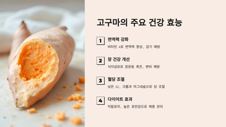  고구마 효능 총정리! 건강에 좋은 이유 