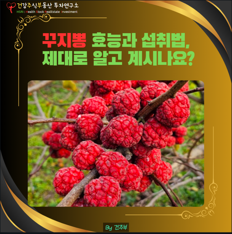  꾸지뽕 효능과 섭취법, 제대로 알고 계시나요?