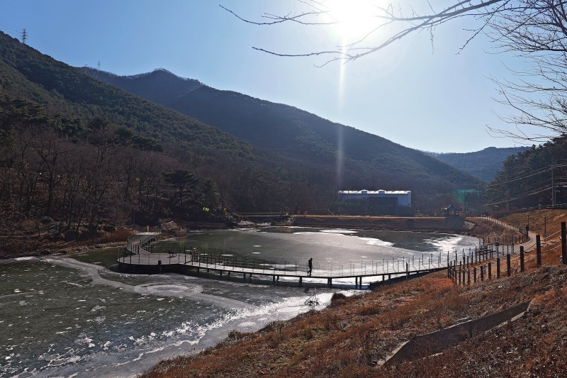사진 8