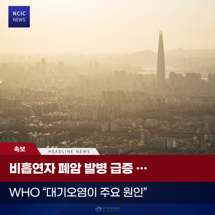  비흡연자 폐암 발병 급증… WHO “대기오염이 주요 원인”
