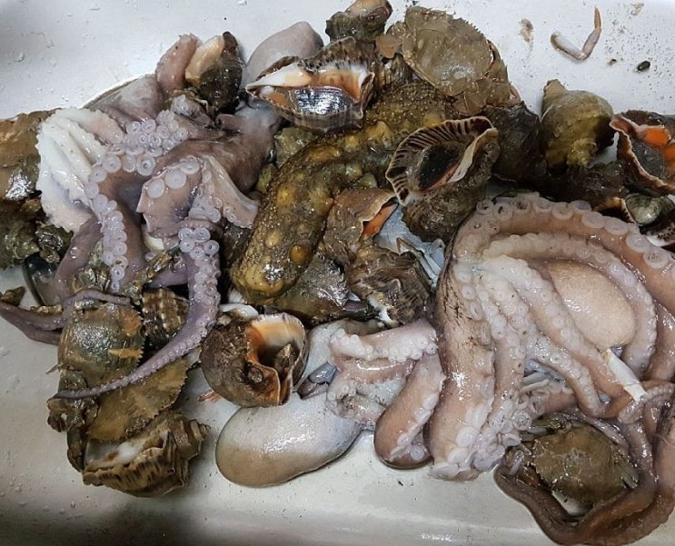  해루질 헤드랜턴 빠지면 섭섭한 LED 렌턴 후기