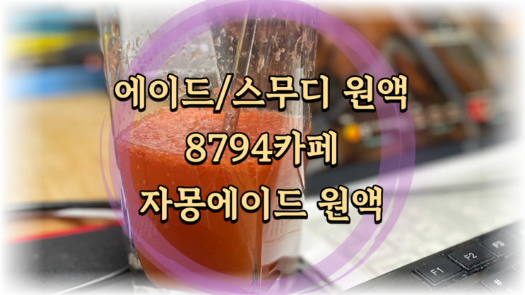  집이 홈카페가 되는 8794 에이드 원액 시럽/스무디원액