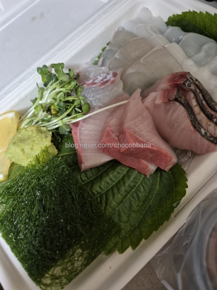 미탐행 숙성회 모듬 소짜 1인회 방어 광어 도미 삼치 한치 양재 포이사거리 횟집 술집 미탐행 숙성회 모듬 소짜 1인회 방어 광어 도미 삼치 한치 양재 포이사거리 횟집 술집