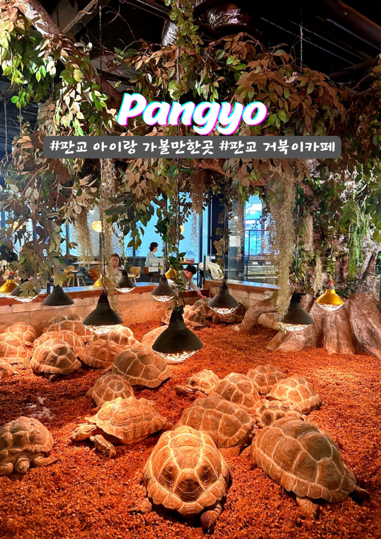  판교 대형 거북이카페 아이랑 이색체험 Cafe거부기 앤 쿠펫