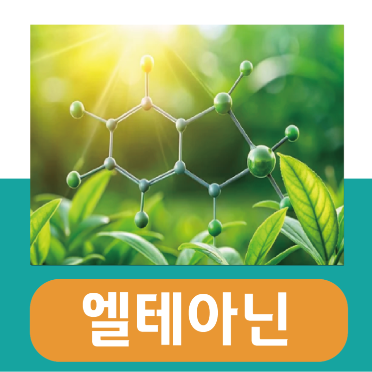  엘테아닌 효능 부작용, 밀크씨슬과 먹으면?