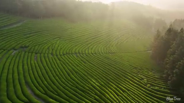  근력운동, 건강한 몸을 위한 필수 요소!