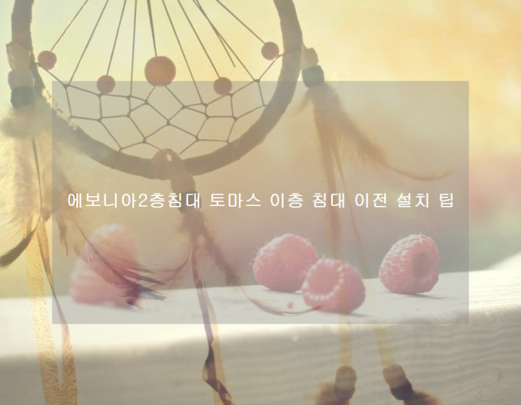  에보니아2층침대 토마스 이층 침대 이전 설치 팁