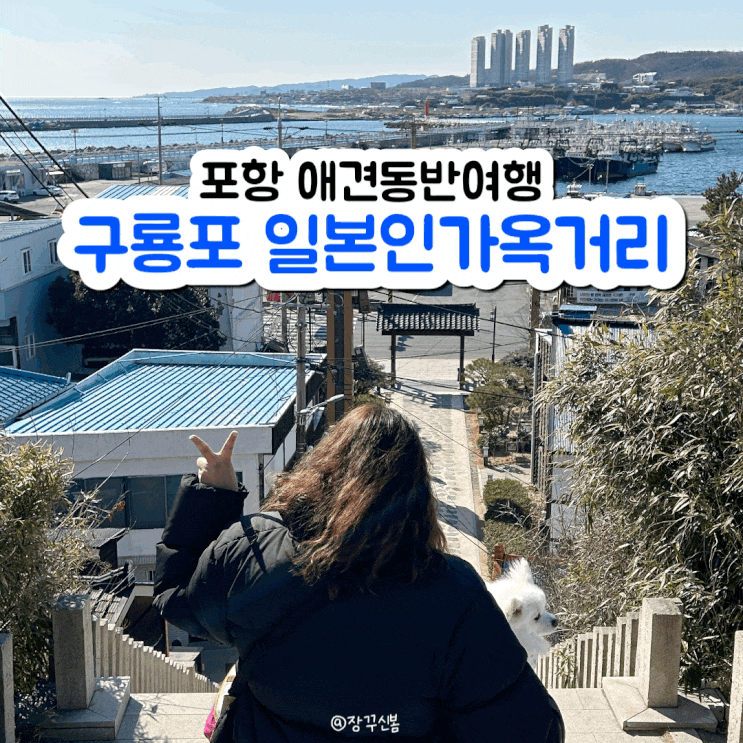 강아지와 떠나는 감성 여행! 포항 구룡포 일본인 가옥거리 강아지와 떠나는 감성 여행! 포항 구룡포 일본인 가옥거리