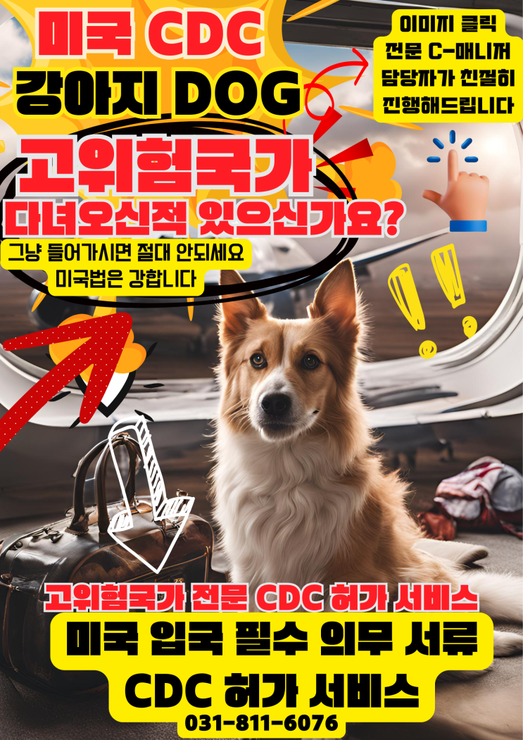  강아지 CDC 고위험국가 하이리스크 허가 승인 개CDC 강아지미국입국 고위험국가 다녀오셨나요? 강아지CDC 전문 서류 허가 서비스 (강아지미국검역서류)