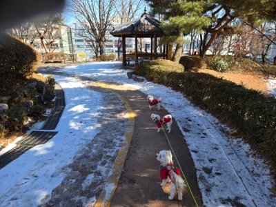 사진 4