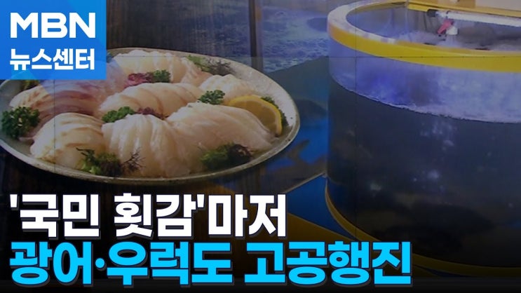 '국민 횟감' 광어·우럭 마저…기후 변화에 가격도 고공행진 '국민 횟감' 광어·우럭 마저…기후 변화에 가격도 고공행진