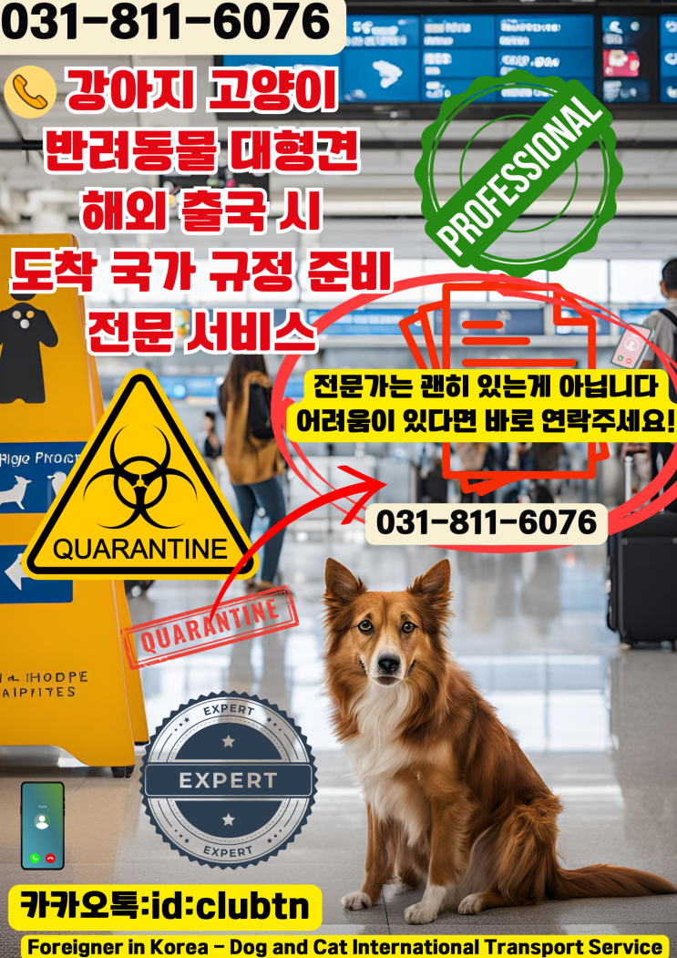  강아지 고양이 반려동물 반려견 애견 대형견 해외 국제 운송 이민 출국 검역 서류 준비 대행 [픽업 출국접종] 광견병항체검사