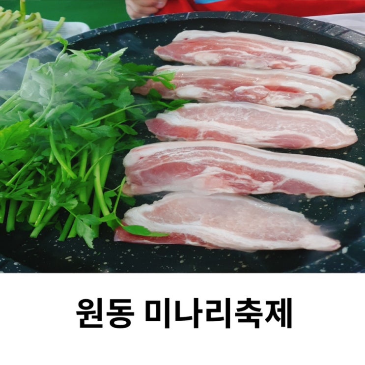  2025 양산 원동 미나리축제 기본정보 미나리삼겹살 가격 후기
