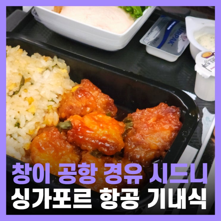  싱가포르 항공 창이공항 경유 스탑오버 서비스 기내식 후기