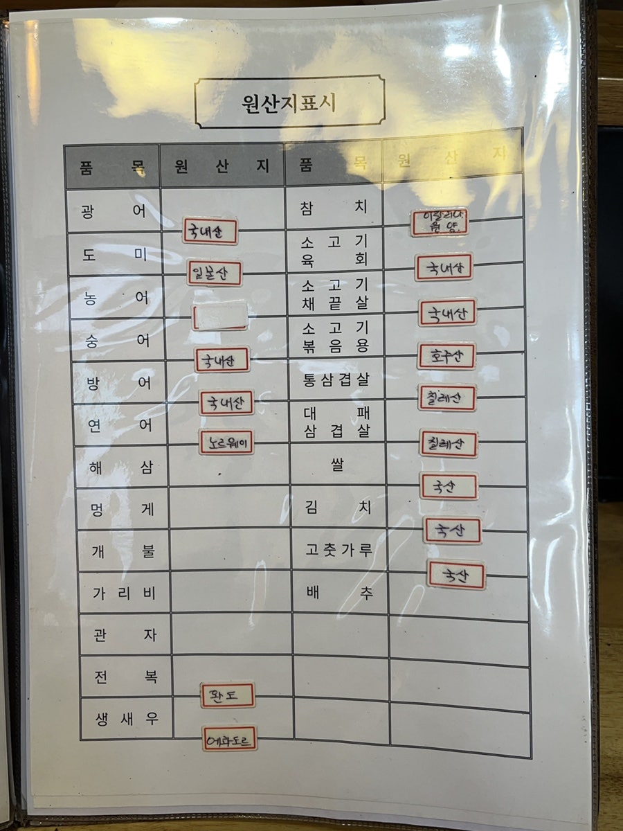 천송화 사진 4